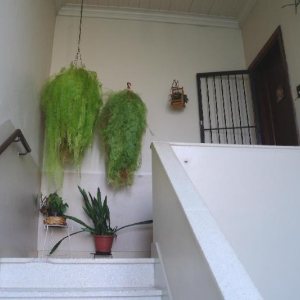 Casa Comercial com 400m², 4 dormitórios, 2 vagas, no bairro Centro em Caxias do Sul para Alugar