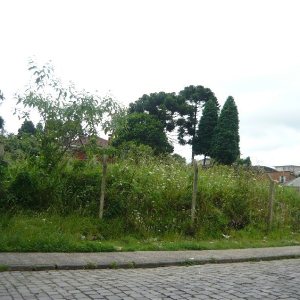 Terreno com 500m², no bairro Madureira em Caxias do Sul para Comprar