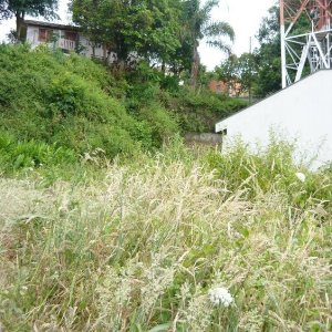 Terreno com 330m², no bairro Pio X em Caxias do Sul para Comprar