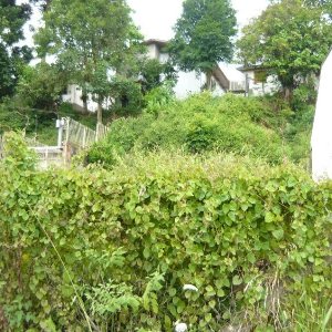 Terreno com 330m², no bairro Pio X em Caxias do Sul para Comprar