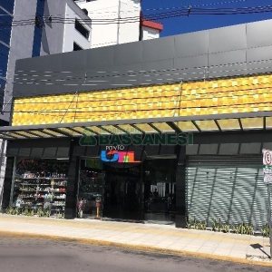 Loja com 15m², no bairro São Pelegrino em Caxias do Sul para Alugar