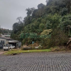 Casa com 250m², 3 dormitórios, 1 vaga, no bairro Pioneiro em Caxias do Sul para Comprar