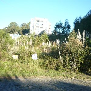 Terreno, no bairro Sanvitto em Caxias do Sul para Comprar