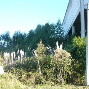 Terreno, no bairro Sanvitto em Caxias do Sul para Comprar