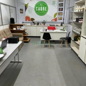 Pavilhão com 572m², no bairro Marechal Floriano em Caxias do Sul para Comprar