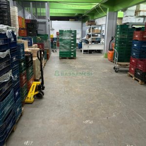 Pavilhão com 572m², no bairro Marechal Floriano em Caxias do Sul para Comprar