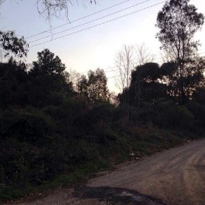 Terreno, no bairro Pedancino em Caxias do Sul para Comprar