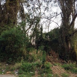 Terreno, no bairro Pedancino em Caxias do Sul para Comprar