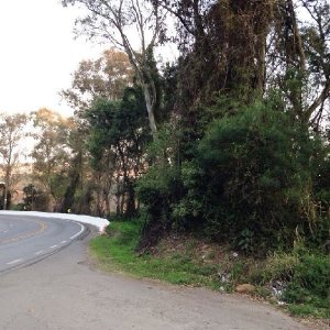 Terreno, no bairro Pedancino em Caxias do Sul para Comprar