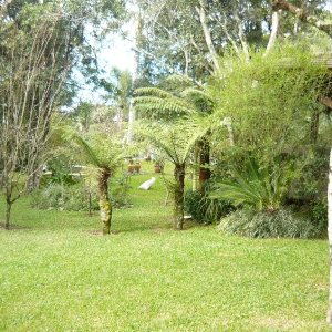 Chácara com 320m², 3 dormitórios, 4 vagas, no bairro Pedancino em Caxias do Sul para Comprar