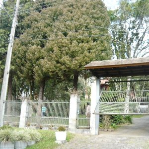 Chácara com 320m², 3 dormitórios, 4 vagas, no bairro Pedancino em Caxias do Sul para Comprar