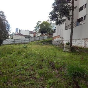 Terreno com 1420m², no bairro Pio X em Caxias do Sul para Alugar ou Comprar