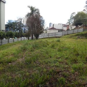 Terreno com 1420m², no bairro Pio X em Caxias do Sul para Alugar ou Comprar