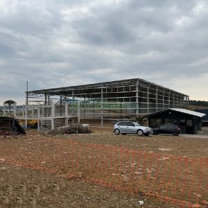 Terreno com 18000m², no bairro Sagrada Família em Caxias do Sul para Alugar