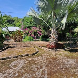Terreno com 1950m², no bairro Vila Cristina em Caxias do Sul para Alugar