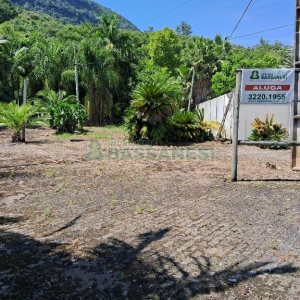 Terreno com 1950m², no bairro Vila Cristina em Caxias do Sul para Alugar