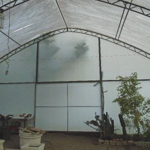 Terreno com 1950m², no bairro Vila Cristina em Caxias do Sul para Alugar