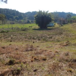 Terreno, no bairro Pedancino em Caxias do Sul para Comprar