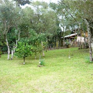 Chácara com 130m², 2 dormitórios, 2 vagas, no bairro Monte Bérico em Caxias do Sul para Comprar