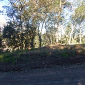 Terreno, no bairro Ana Rech em Caxias do Sul para Comprar