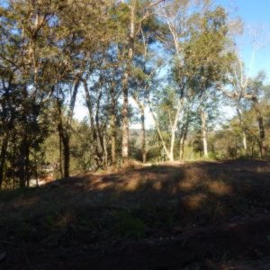 Terreno, no bairro Ana Rech em Caxias do Sul para Comprar