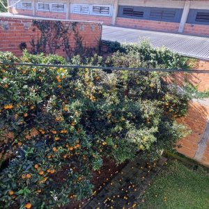 Casa com 365m², 3 dormitórios, 2 vagas, no bairro Jardim América em Caxias do Sul para Comprar