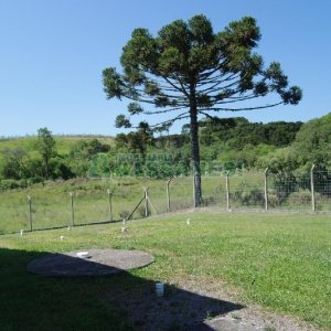 Chácara com 200m², 4 dormitórios, no bairro Vila Seca em Caxias do Sul para Comprar