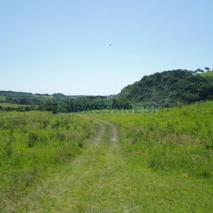 Chácara com 200m², 4 dormitórios, no bairro Vila Seca em Caxias do Sul para Comprar