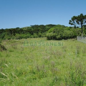 Chácara com 200m², 4 dormitórios, no bairro Vila Seca em Caxias do Sul para Comprar