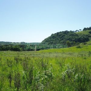 Chácara com 200m², 4 dormitórios, no bairro Vila Seca em Caxias do Sul para Comprar