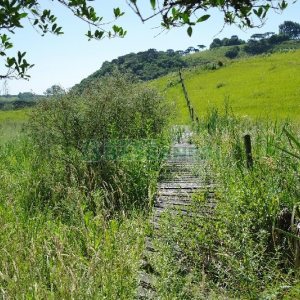 Chácara com 200m², 4 dormitórios, no bairro Vila Seca em Caxias do Sul para Comprar