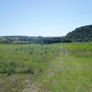 Chácara com 200m², 4 dormitórios, no bairro Vila Seca em Caxias do Sul para Comprar