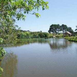 Chácara com 200m², 4 dormitórios, no bairro Vila Seca em Caxias do Sul para Comprar