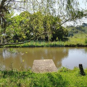Chácara com 200m², 4 dormitórios, no bairro Vila Seca em Caxias do Sul para Comprar