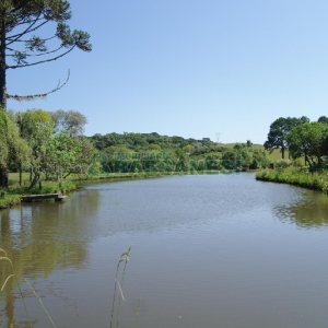 Chácara com 200m², 4 dormitórios, no bairro Vila Seca em Caxias do Sul para Comprar