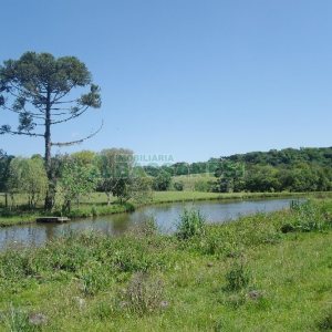 Chácara com 200m², 4 dormitórios, no bairro Vila Seca em Caxias do Sul para Comprar