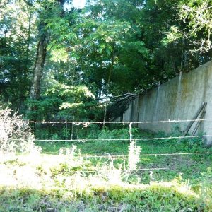 Chácara, no bairro Centro em Caxias do Sul para Comprar
