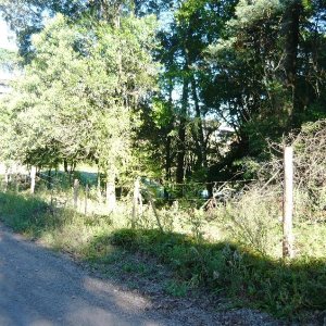 Chácara, no bairro Centro em Caxias do Sul para Comprar