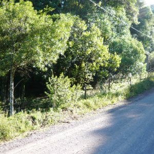 Chácara, no bairro Centro em Caxias do Sul para Comprar