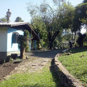 Chácara com 100m², 3 dormitórios, 1 vaga, no bairro Vila Cristina em Caxias do Sul para Comprar
