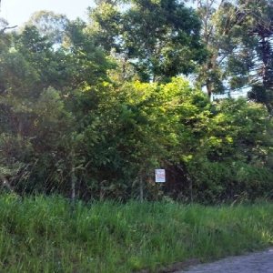 Terreno, no bairro Vila Verde em Caxias do Sul para Comprar