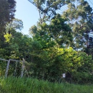 Terreno, no bairro Vila Verde em Caxias do Sul para Comprar