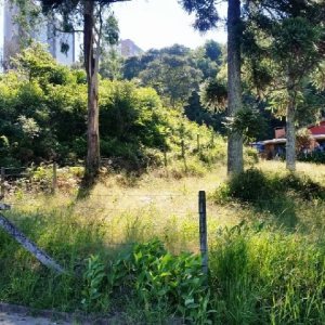 Terreno, no bairro Vila Verde em Caxias do Sul para Comprar