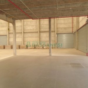 Pavilhão com 1534m², no bairro Forqueta em Caxias do Sul para Alugar