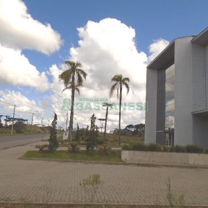 Pavilhão com 1534m², no bairro Forqueta em Caxias do Sul para Alugar