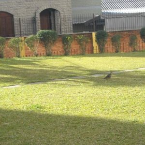 Apartamento, 2 dormitórios, 1 vaga, no bairro Madureira em Caxias do Sul para Alugar