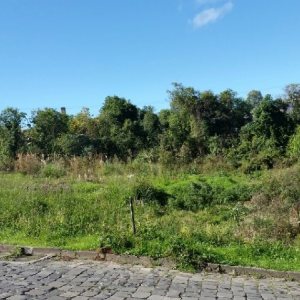 Terreno, no bairro Charqueadas em Caxias do Sul para Comprar