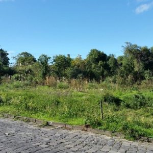 Terreno, no bairro Charqueadas em Caxias do Sul para Comprar