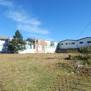 Terreno com 1250m², no bairro Bela Vista em Caxias do Sul para Alugar ou Comprar