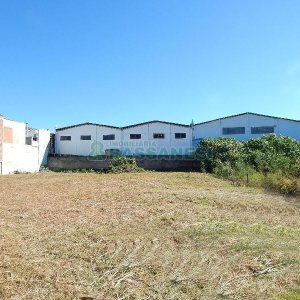 Terreno com 1250m², no bairro Bela Vista em Caxias do Sul para Alugar ou Comprar